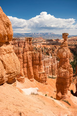 landscape on the bryce canyon in the united states of america