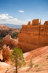 landscape on the bryce canyon in the united states of america
