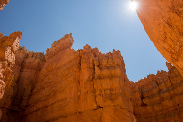 landscape on the bryce canyon in the united states of america