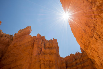 landscape on the bryce canyon in the united states of america