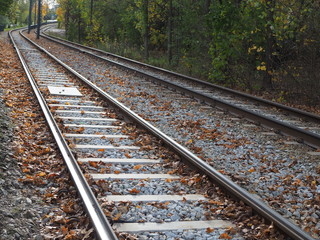 Tram track in the city among the trees, autumn leaves