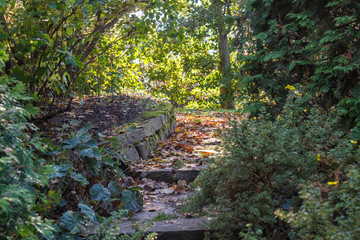 Cottage garden with stone stairs and retaining wall