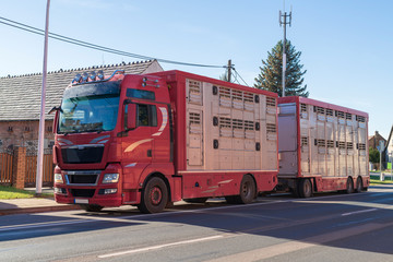 Moderner Viehtransporter am Strassenrand