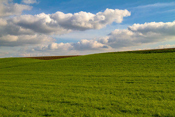 Wiesenlandschaft mit Wolken