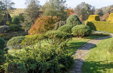 Cottage garden with green lawn, trees and trimmed bushes.