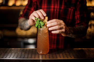 Bartender serving a Cobra's Fang cocktail with a mint leaves