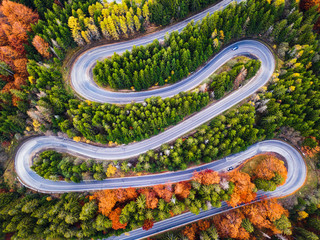 Winding road from high mountain pass, in autumn season, with orange forest. Aerial view by drone....
