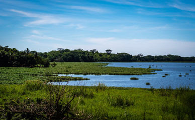 Guatemalan landscape
