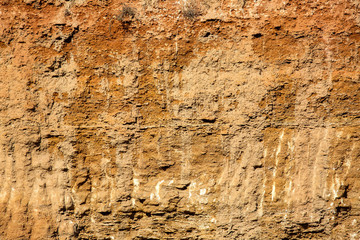 The texture of the stone shell rock, close  up.