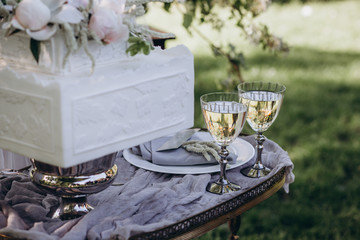 White wedding cake is decorated with pions