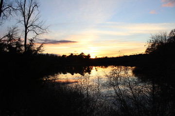 light yellow clouds at sunset