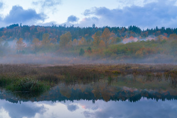 Obraz na płótnie Canvas Fog On The Beaver Pond
