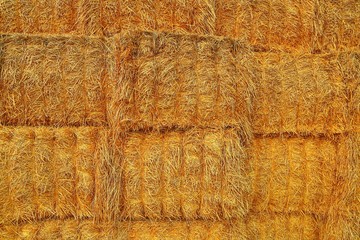 A stack of straw bales background. Agricultural concept