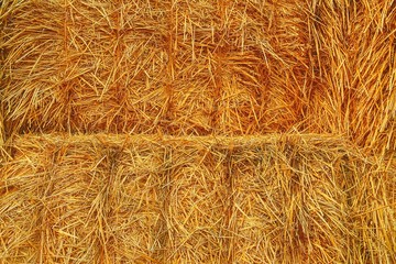 A stack of straw bales background. Close-up. Agricultural concept