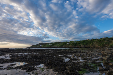 Naklejka premium dublin low tide