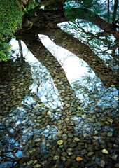 Fototapeta premium 池