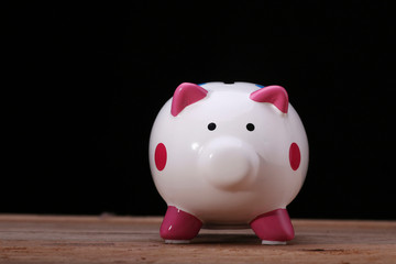Piggy bank isolated on color background,