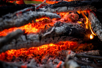 Hot coals in the fire closeup
