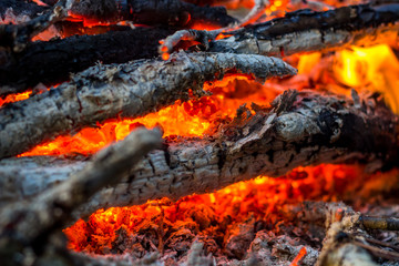Hot coals in the fire closeup
