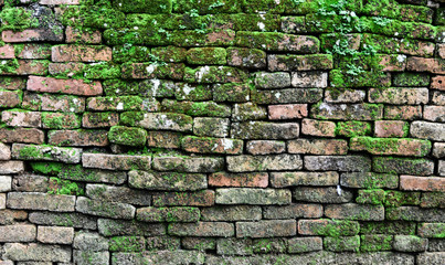 Texture of old brick wall covered green moss