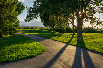 path in the park