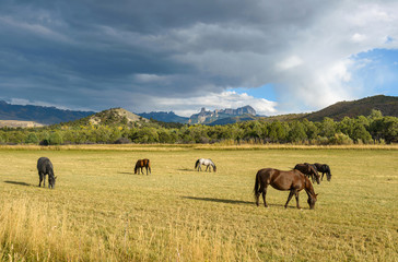 Mountain Horse Ranch - Autumn scene of storm clouds coming over a mountain horse ranch, seen from Owl Creek Pass Road, near Ridgeway, CO, USA. Chimney Peak and Courthouse Mountain are in Background. 