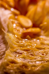 Melon seeds backlit inside the melon, close-up
