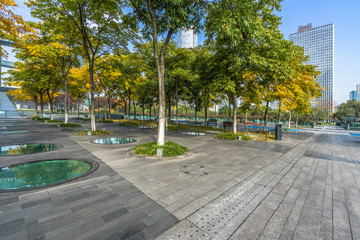 beautiful park at a sunny day, shanghai, china.