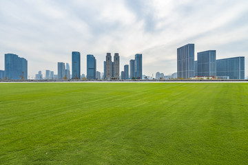 Obraz premium cityscape and skyline of hangzhou from meadow in park