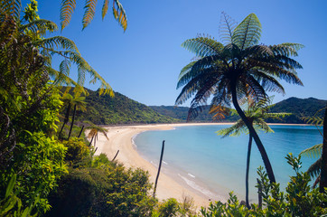 Coastline of Abel Tasman National Park