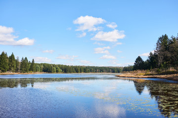 Beaver Meadows lake in Allegheny National Forest. Pine and evergreen trees line the shoreline with grass. It is a blue sky, with a few white clouds.