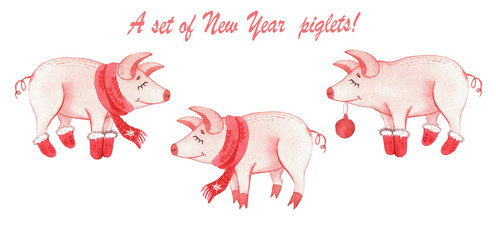 Set with New Year piglets in watercolor style. Christmas. Postcards.
