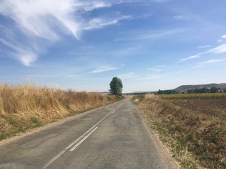 Fototapeta na wymiar A Road in the middle of nowhere in Spain