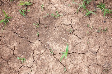 Red dry earth during Australia's droughts