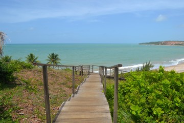 Fototapeta na wymiar Caminho para o Paraiso feito de madeira artesanal, unindo a montanha à praia, com coqueiros e o mar azul ao fundo com um céu límpido