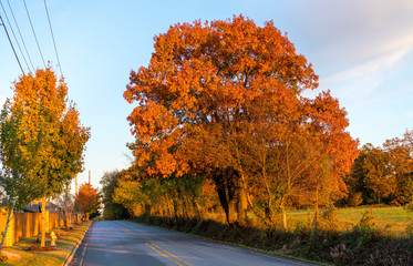 Country road stretching out at sunset