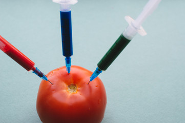 Several syringes stuck into a tomato. GMO Concept Products