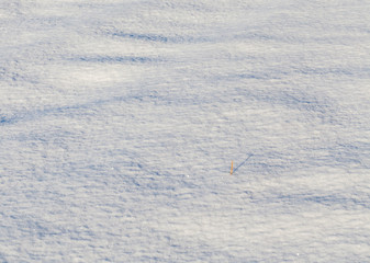 Snow drifts in winter