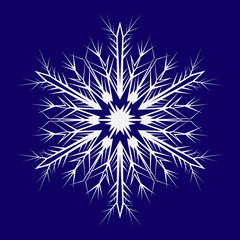 Snowflake to decorate the New Year and Christmas holiday. Vector illustration.