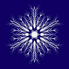 Snowflake to decorate the New Year and Christmas holiday. Vector illustration.