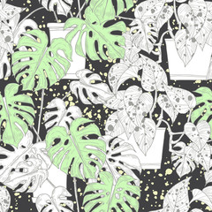 Seamless pattern with  Scindapsus aureus Eagler and  Monstera  in pots on black background. Vector monochrome illustration.