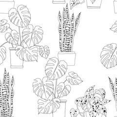 Seamless pattern with houseplants in pots on white background. Sansevieria, Monstera, Scindapsus aureus Eagler. Vector monochrome illustration. Hand-drawn leaf outlines.
