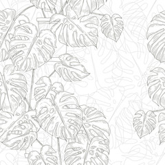 Seamless pattern with monstera  in pots  on white background. Vector monochrome illustration. Hand-drawn vector monochrome illustration. - obrazy, fototapety, plakaty
