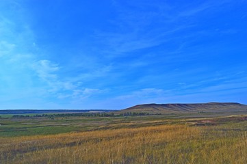 field and mountains in the distance