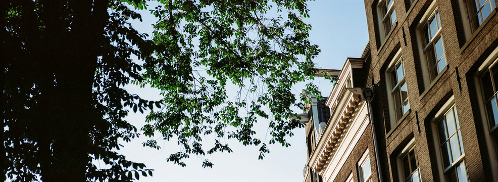 Tree and building, Amsterdam