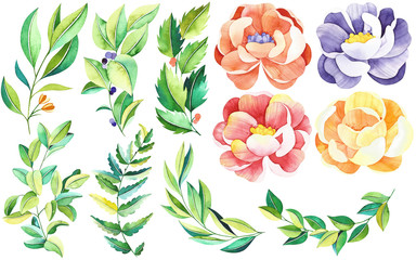 Watercolor flowers and branches elements. Handpainted  watercolor isolated elements flowers, branches. Perfect for you postcard design, wallpaper, print, invitations, packaging etc. - 231120164
