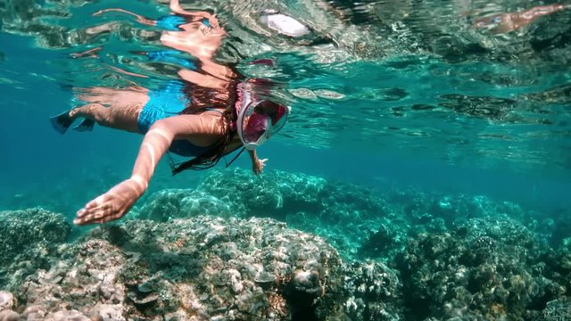 Underwater girl snorkeling in a clear tropical water at coral reef. Young woman swimming above bright coral reef in the sea on a background of a tropical beach.
