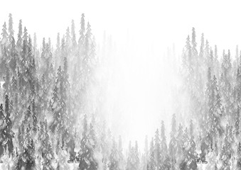 Watercolor group of trees - fir, pine, cedar, fir-tree. black and white forest, countryside landscape. Hand drawn watercolor illustration. Foggy frosty forest
