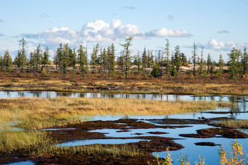 nature / природа