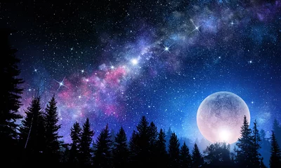 Foto op Plexiglas Volle maan Full moon in night starry sky